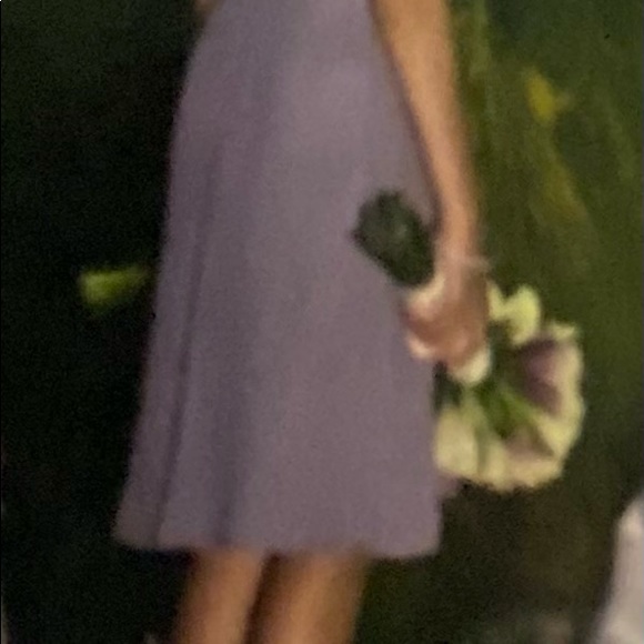 Pretty Maids Bridesmaid/Formal/Cocktail/Party Dress - Picture 5 of 13